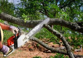 Best Lawn Grading and Leveling  in Chetopa, KS